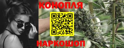 эйфоретик Берёзовский