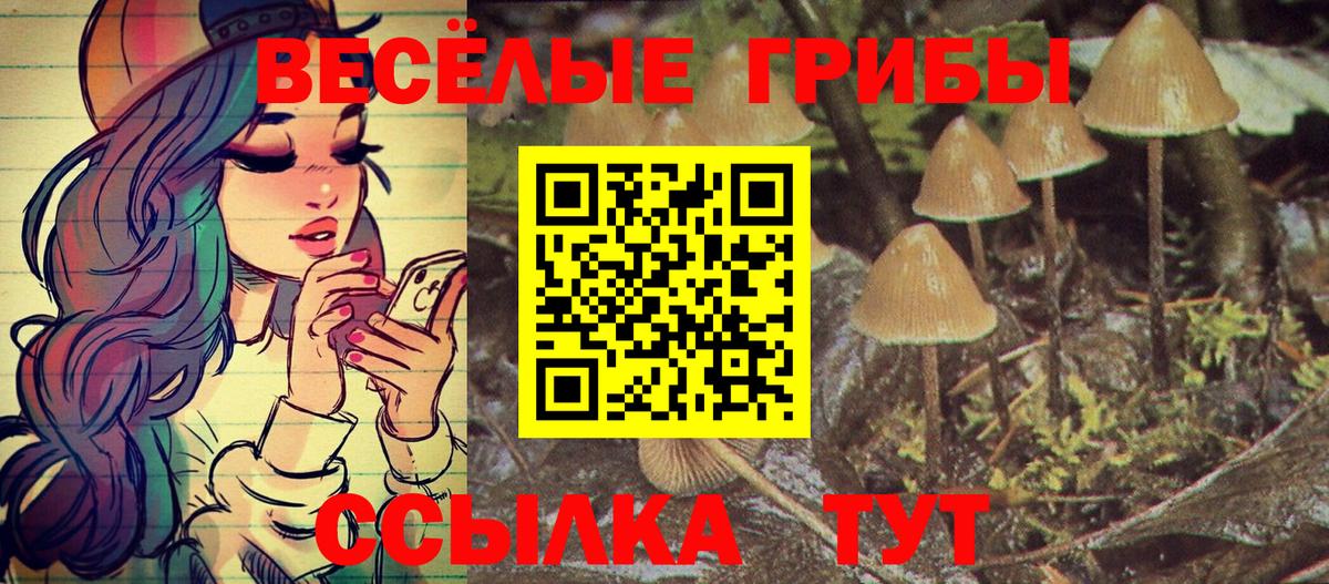 Кировск  Галлюциногенные грибы MAGIC MUSHROOMS  Вход с VPN 